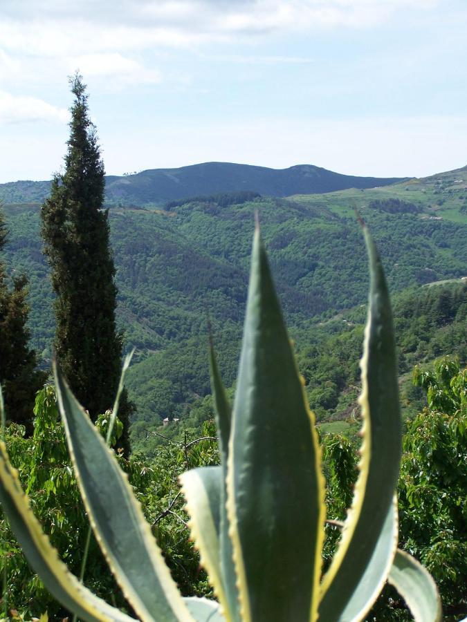 Gite De Chapeleche Les Chataigniers Gluiras Exterior photo